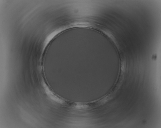 X0000110701466200906261356