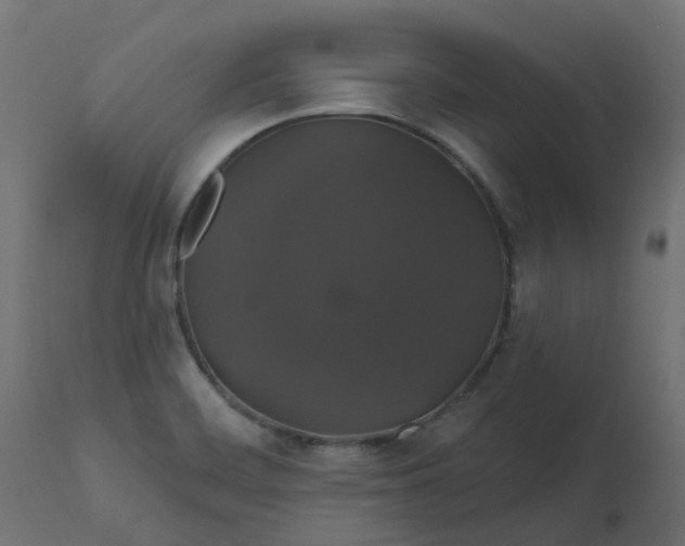 X0000110701468200906261356