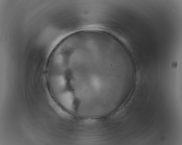 X0000110701470200906261356