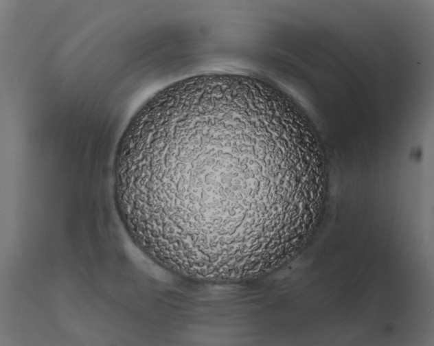 X0000110701471200906261356