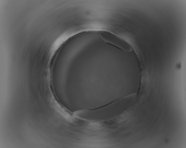 X0000110701472200906261356