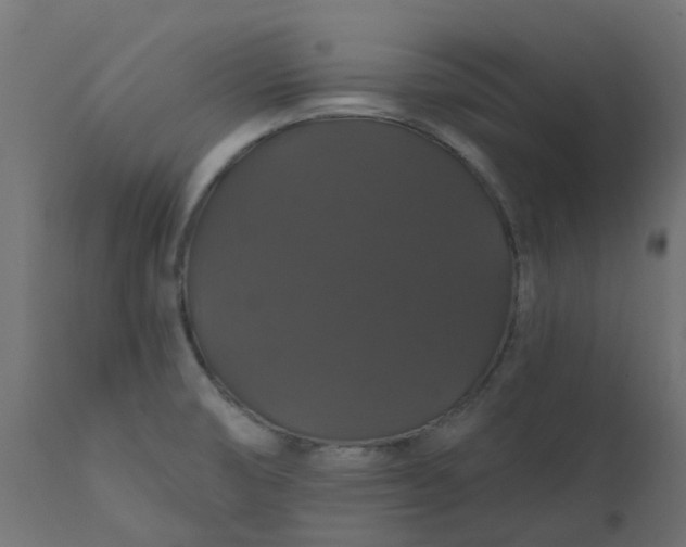 X0000110701474200906261356