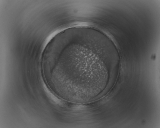 X0000110701475200906261356