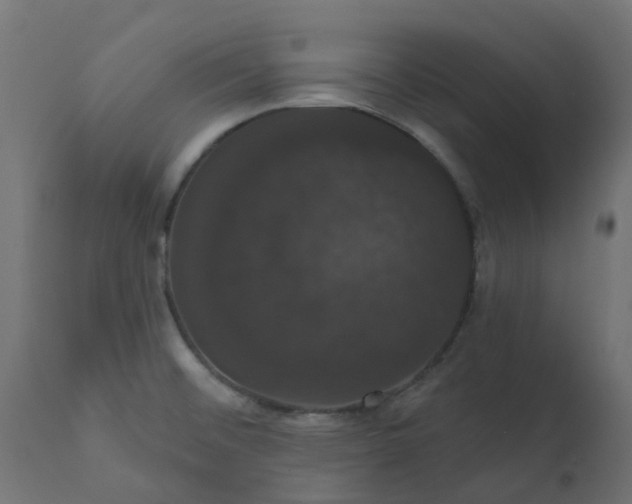 X0000110701476200906261356