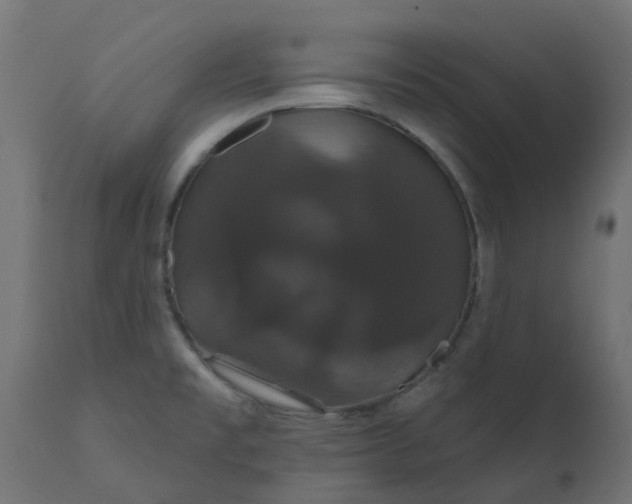 X0000110701477200906261356