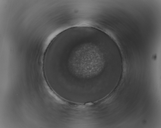 X0000110701480200906261356