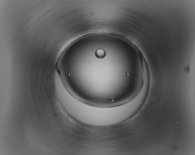 X0000110701481200906261356