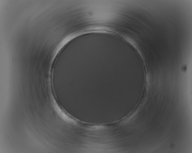 X0000110701482200906261356
