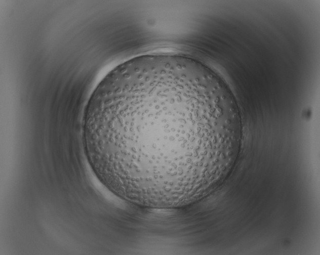 X0000110701483200906261356