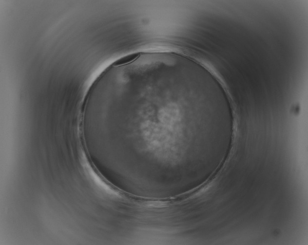 X0000110701484200906261356
