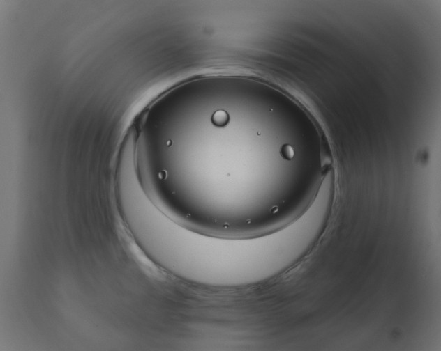X0000110701485200906261356