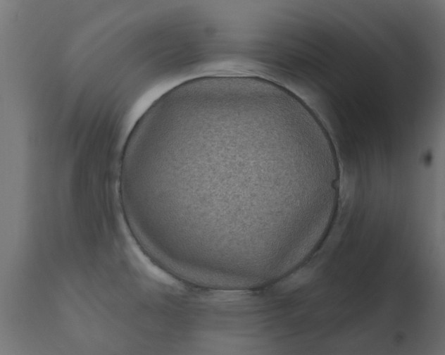 X0000110701486200906261356