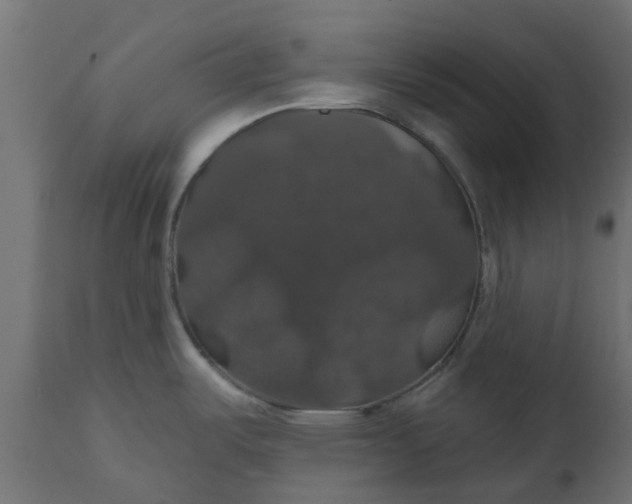 X0000110701487200906261356