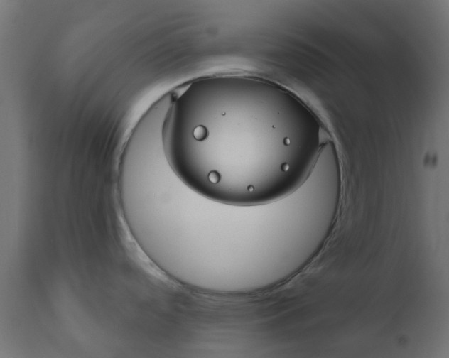 X0000110701488200906261356