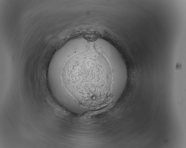 X0000110701489200906261355