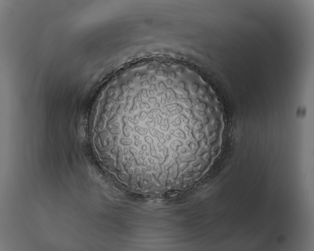 X0000110701490200906261355