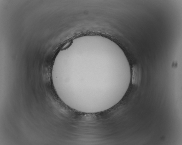 X0000110701491200906261355