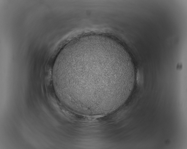X0000110701492200906261355