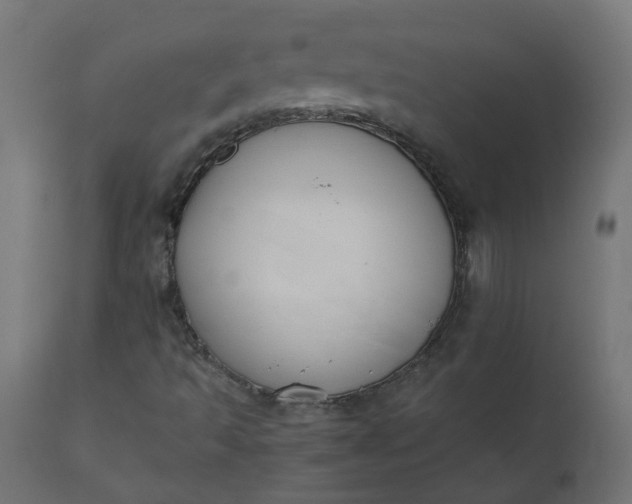 X0000110701493200906261355