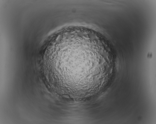 X0000110701494200906261355