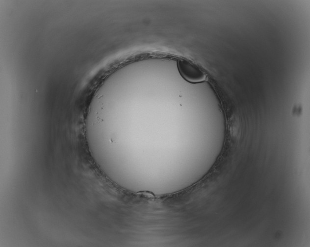 X0000110701495200906261355