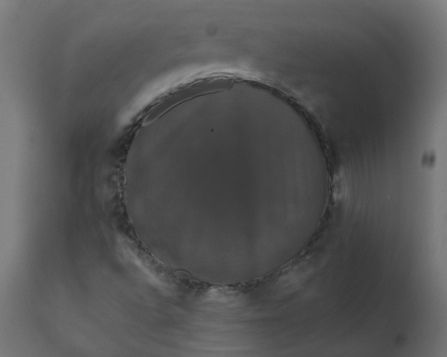 X0000110701496200906261355