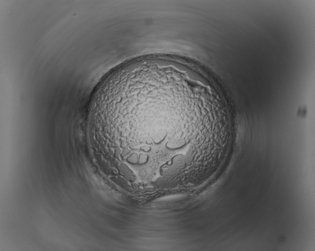 X0000110701497200906261355