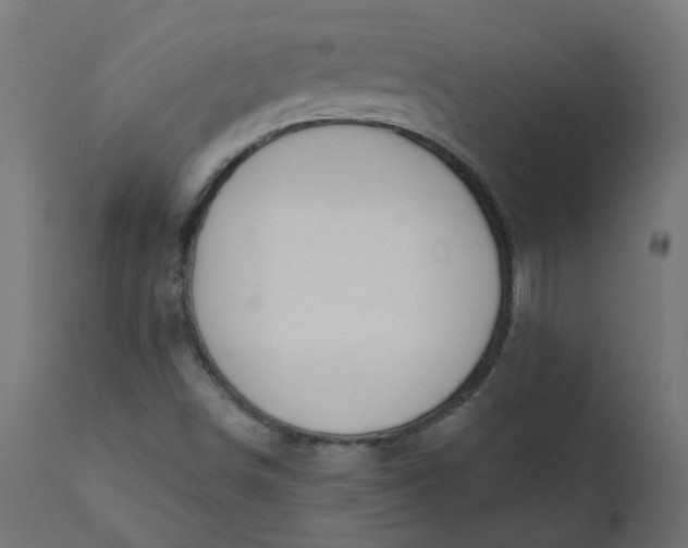 X0000110701498200906261355