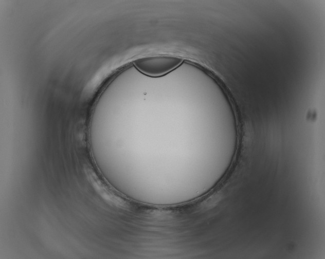 X0000110701499200906261355