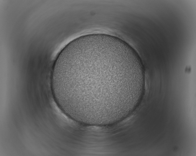 X0000110701500200906261355
