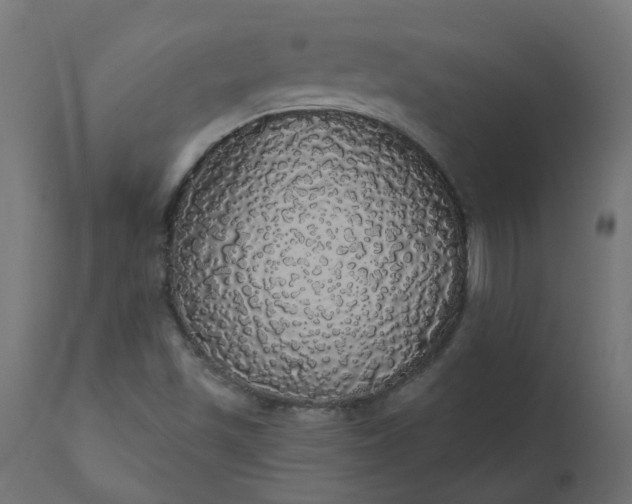 X0000110701501200906261355