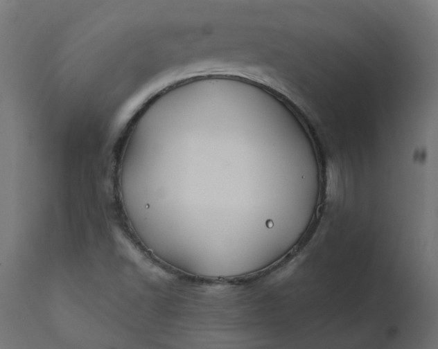 X0000110701502200906261355