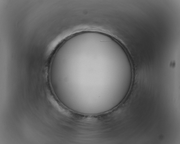 X0000110701503200906261355