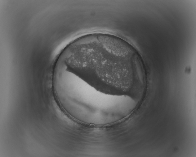 X0000110701504200906261355