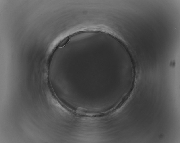 X0000110701506200906261355