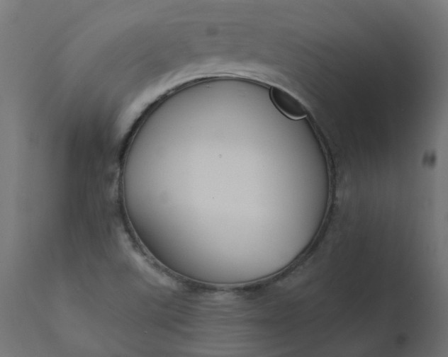 X0000110701507200906261355