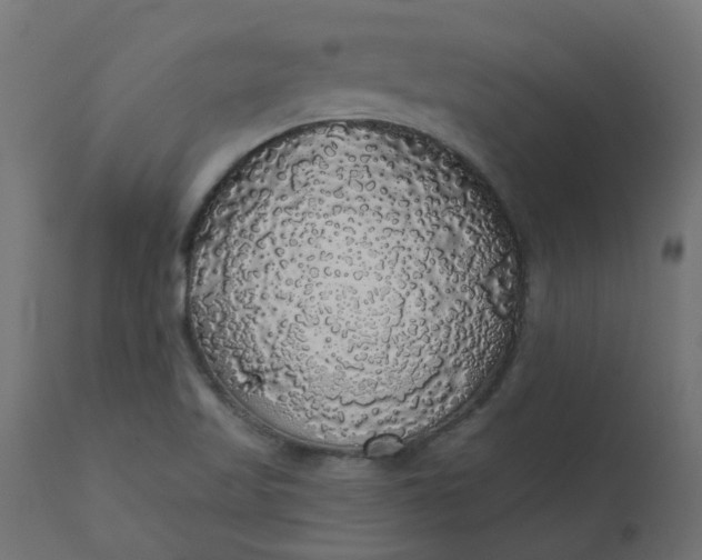 X0000110701509200906261355