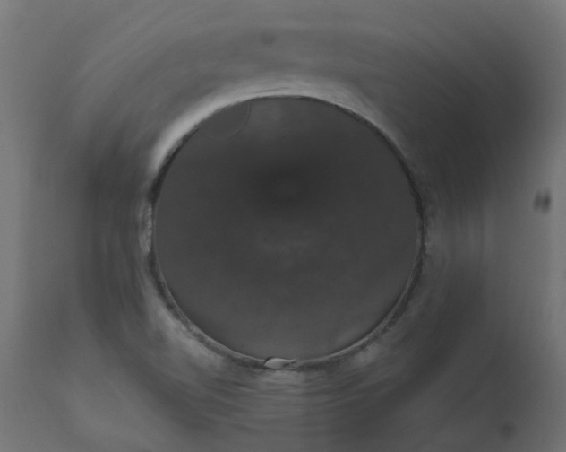 X0000110701510200906261355