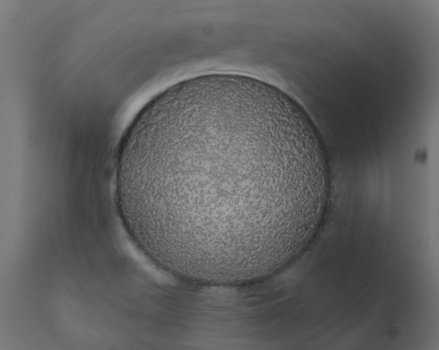 X0000110701511200906261355