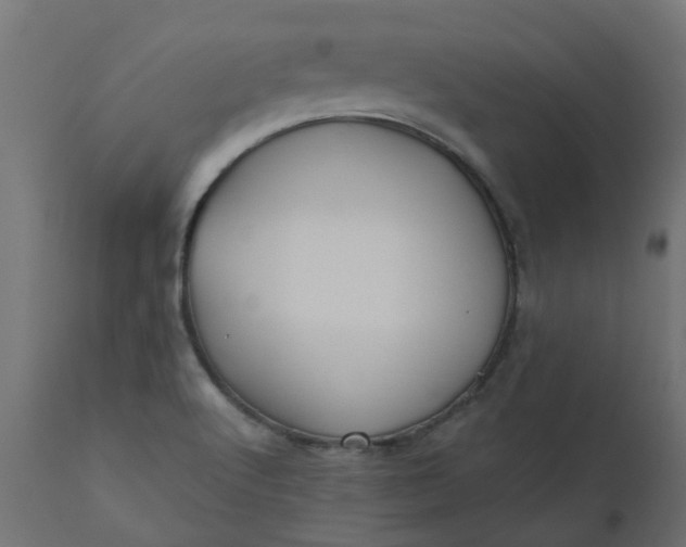 X0000110701512200906261355