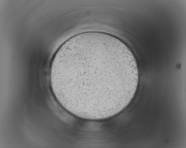 X0000110701514200906261355