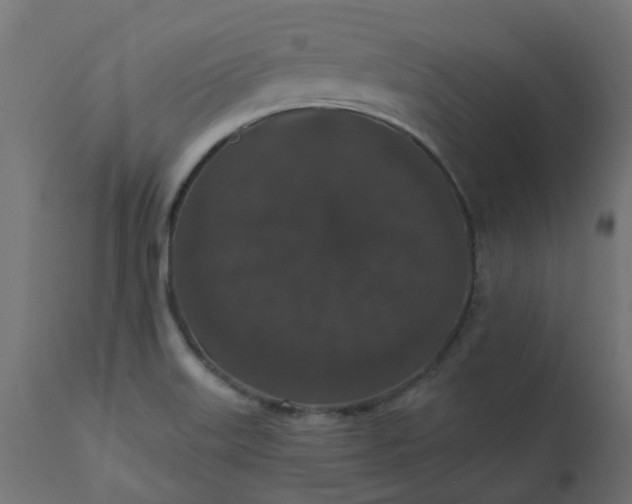X0000110701515200906261355