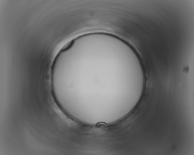 X0000110701516200906261355