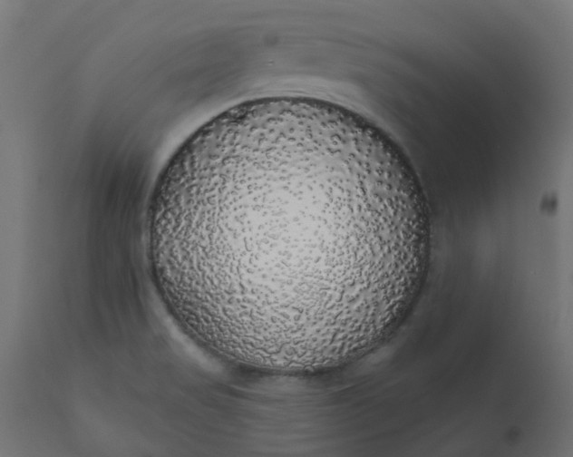 X0000110701517200906261355