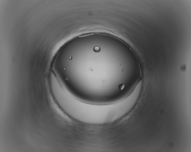 X0000110701518200906261355