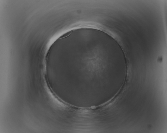 X0000110701520200906261355