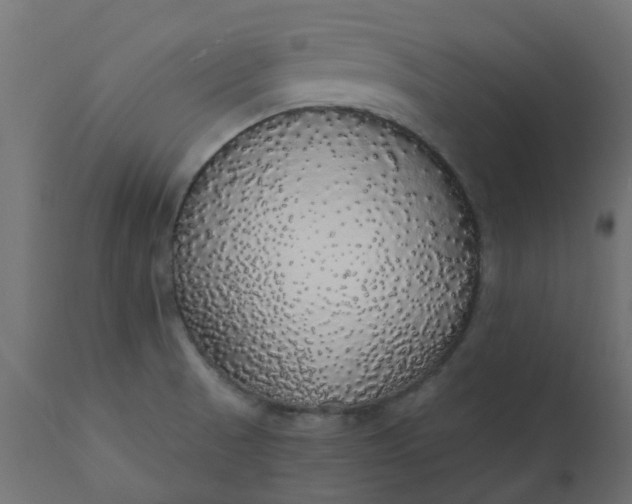 X0000110701521200906261355