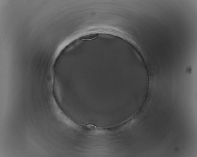 X0000110701522200906261355