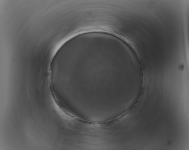 X0000110701524200906261355