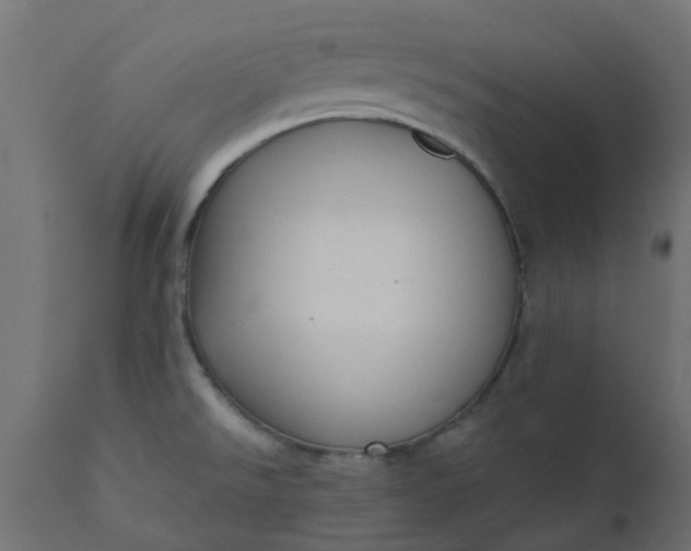 X0000110701526200906261355